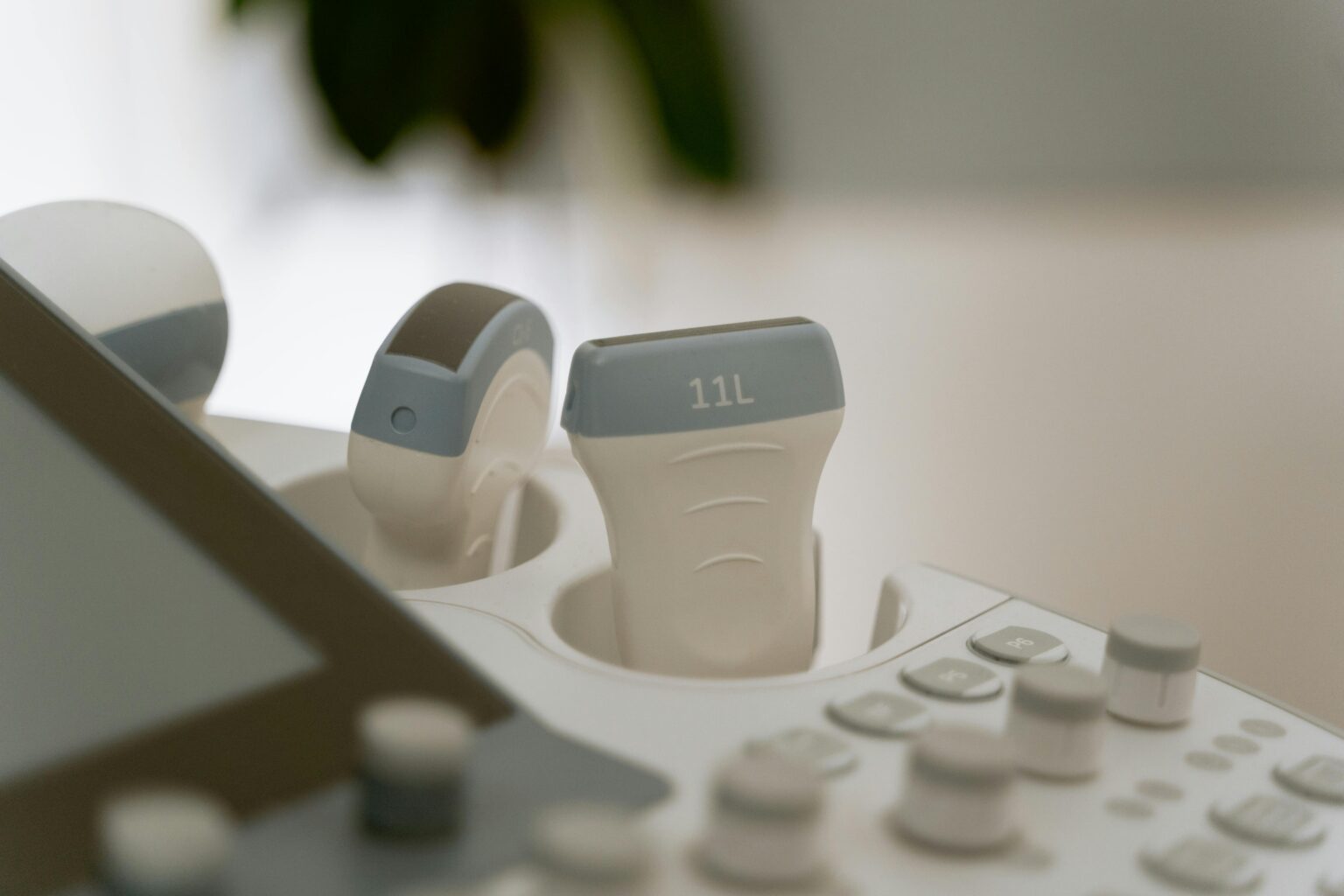 échographie podiatrique